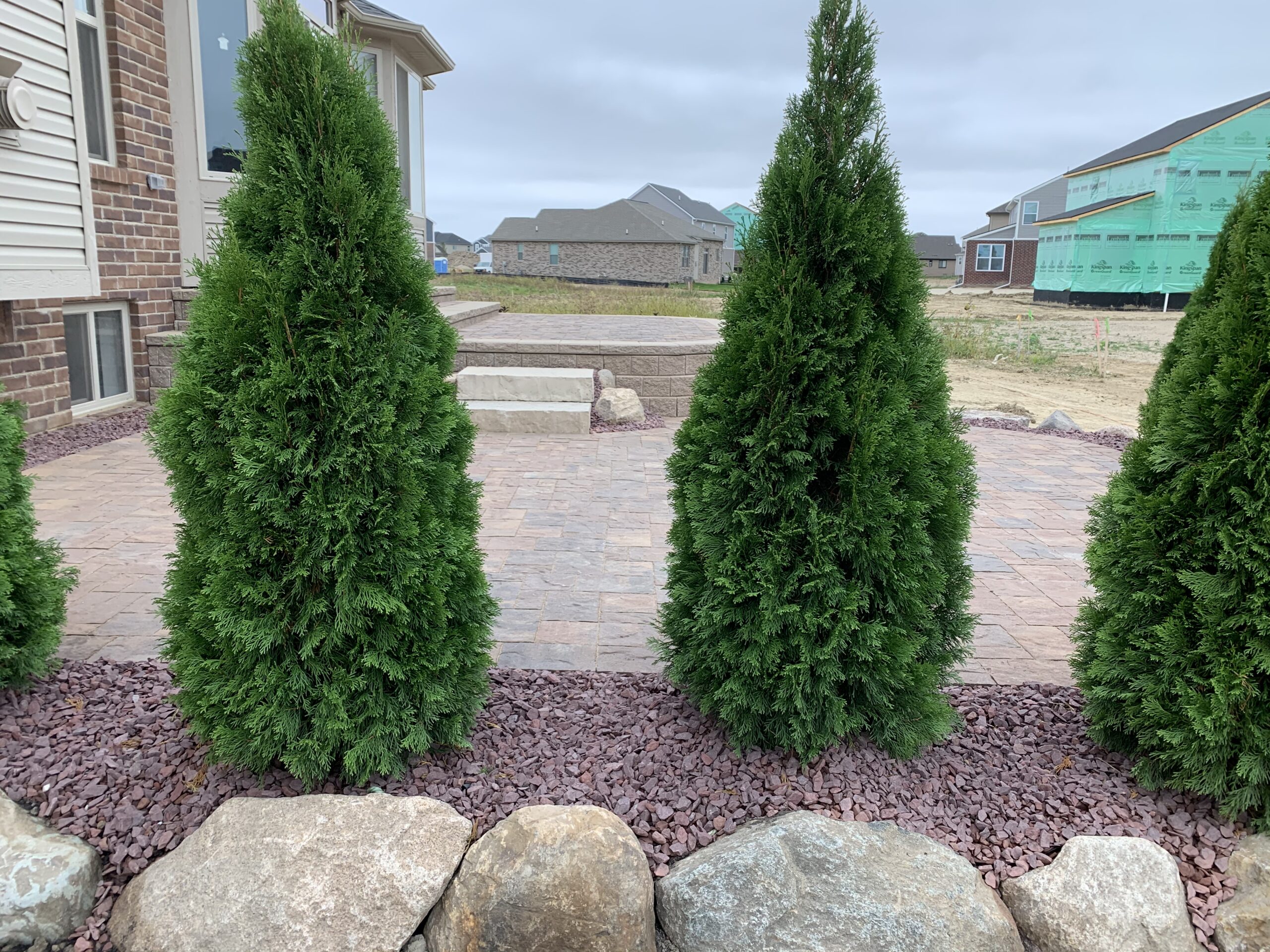 20200928_145616112_iOS