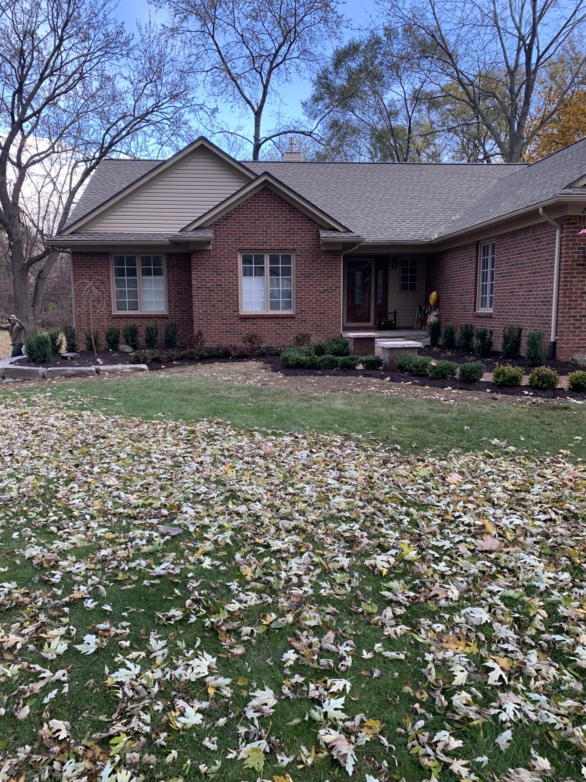 20211112_201443502_iOS