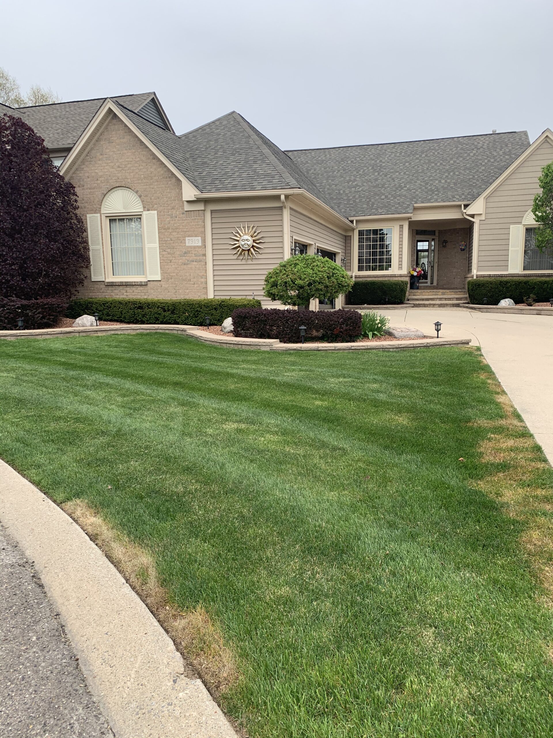 20220511_165549750_iOS