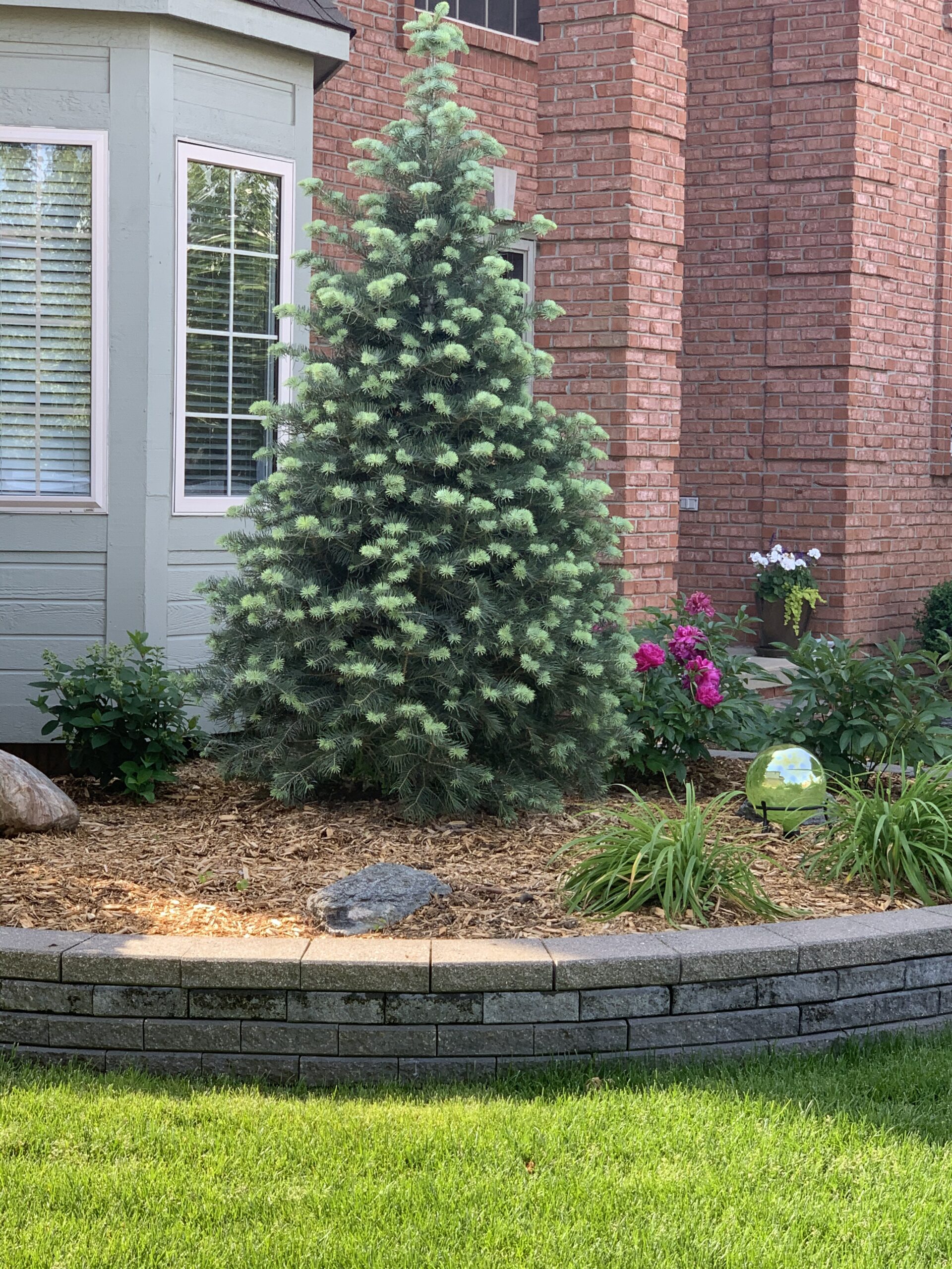 20220614_134918706_iOS