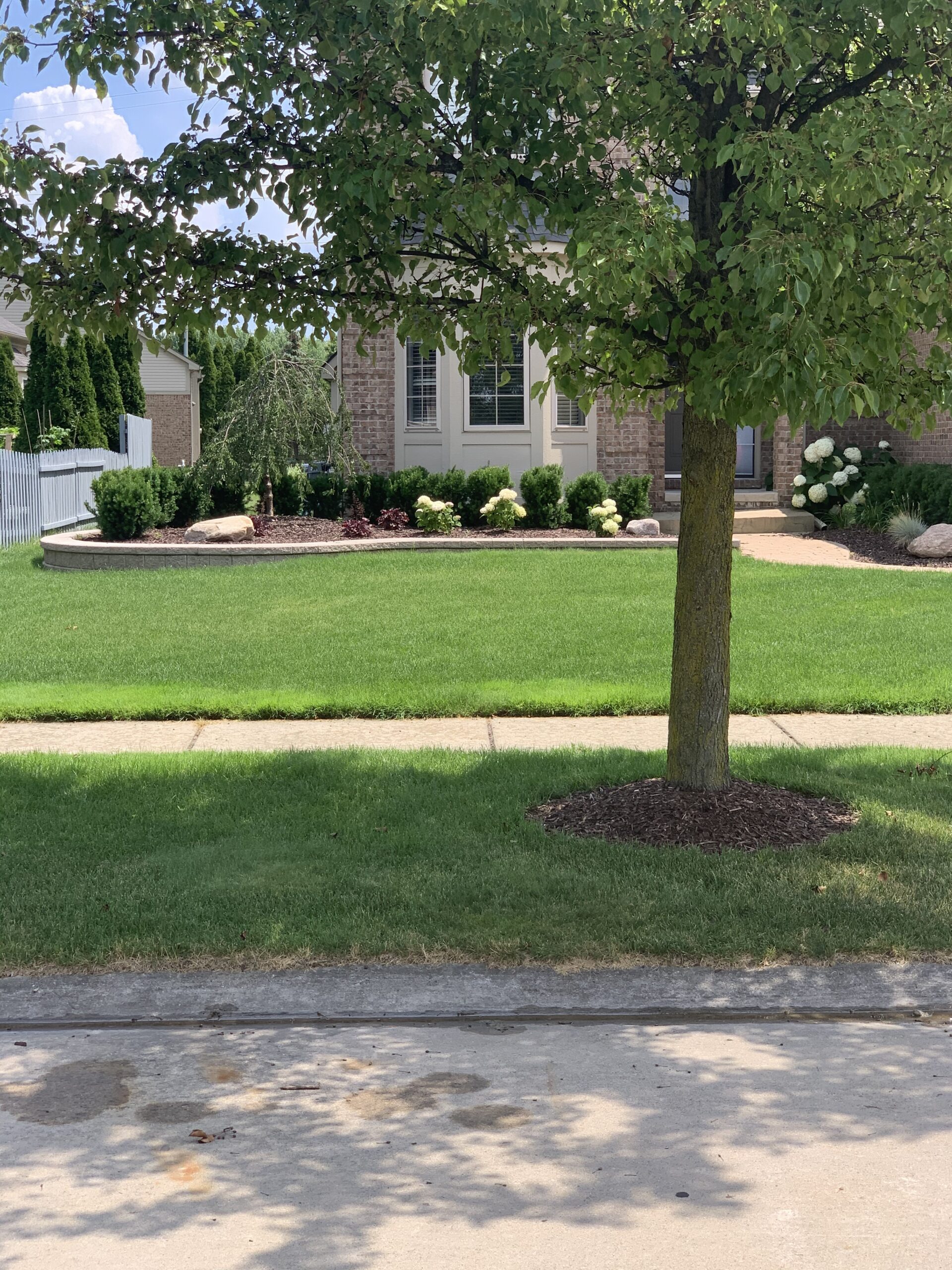 20220718_170105210_iOS