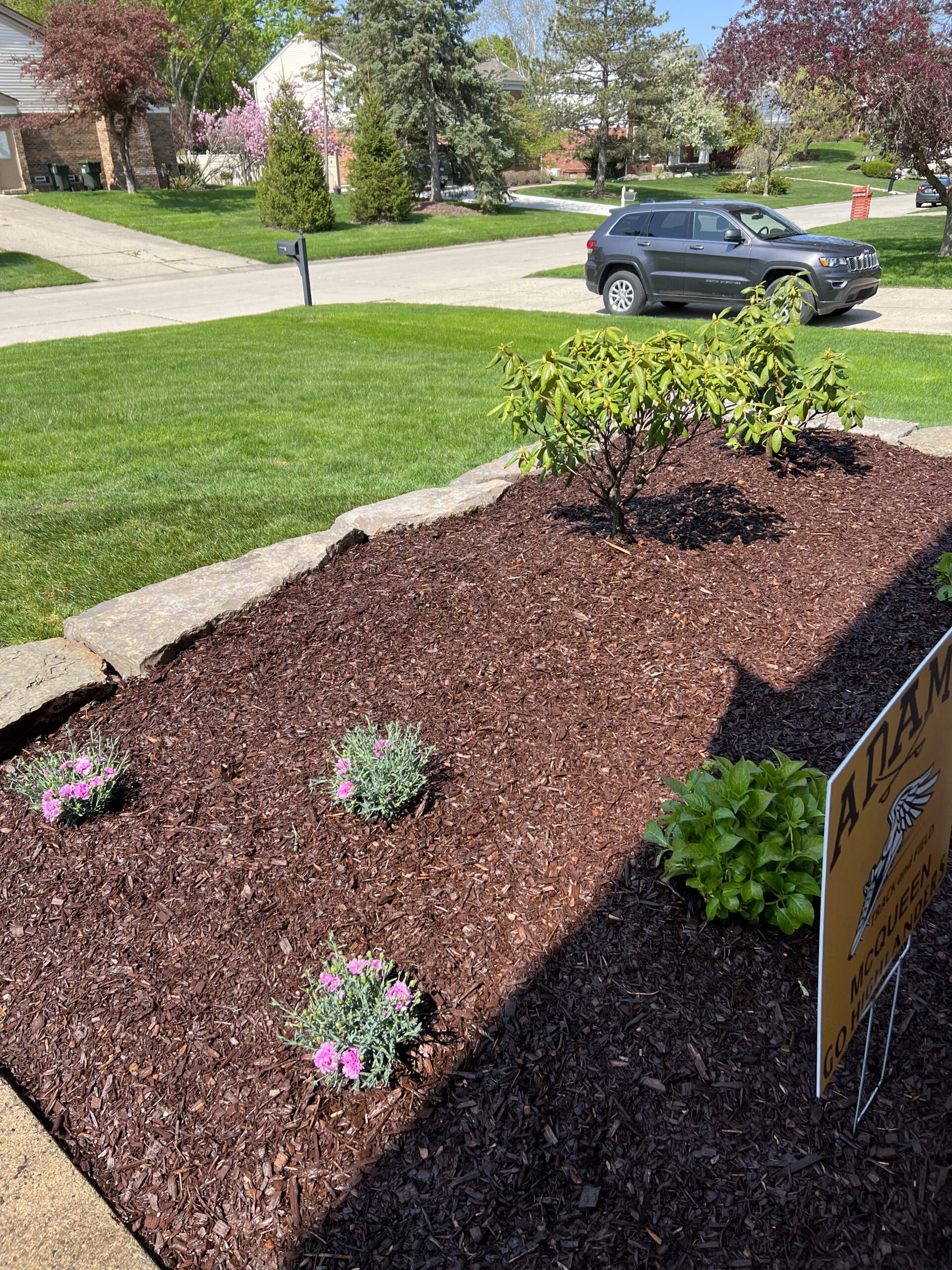 20230509_194105791_iOS