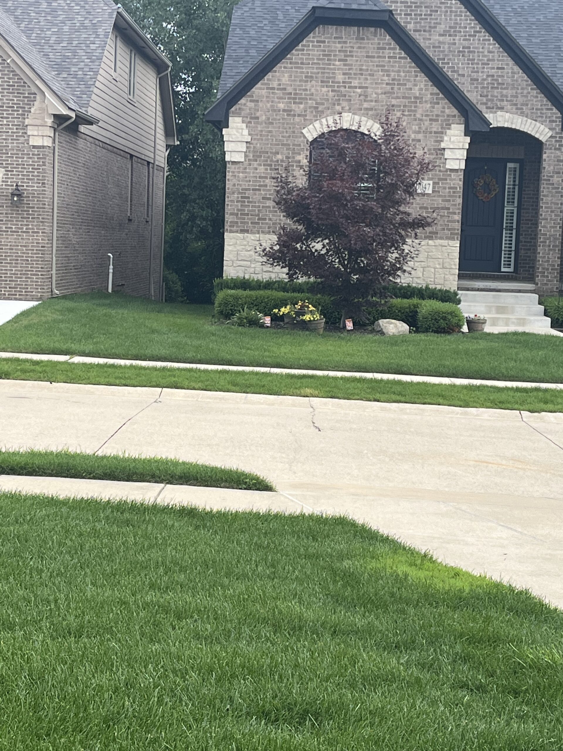 20230712_131124791_iOS