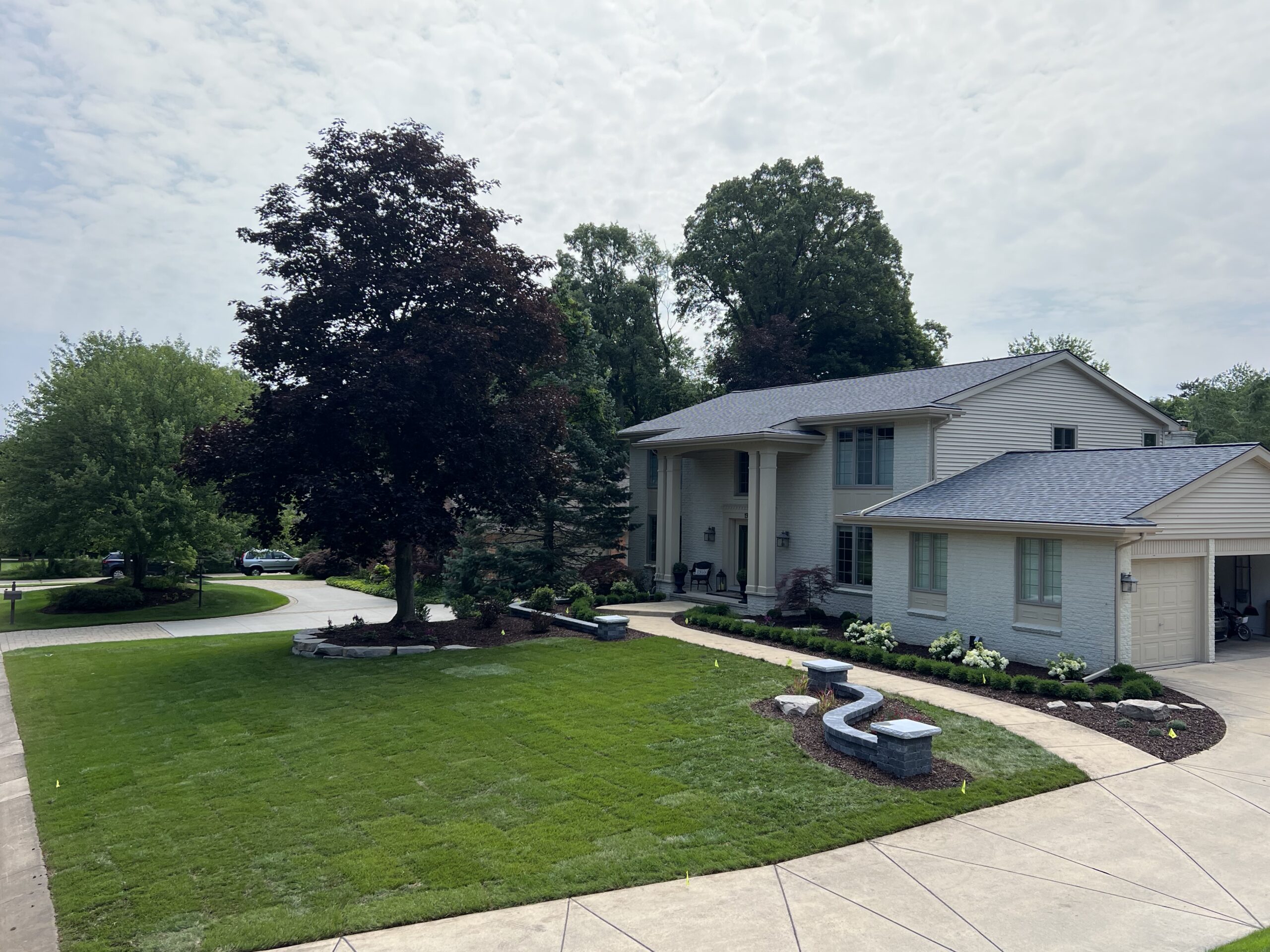 20230712_155506067_iOS