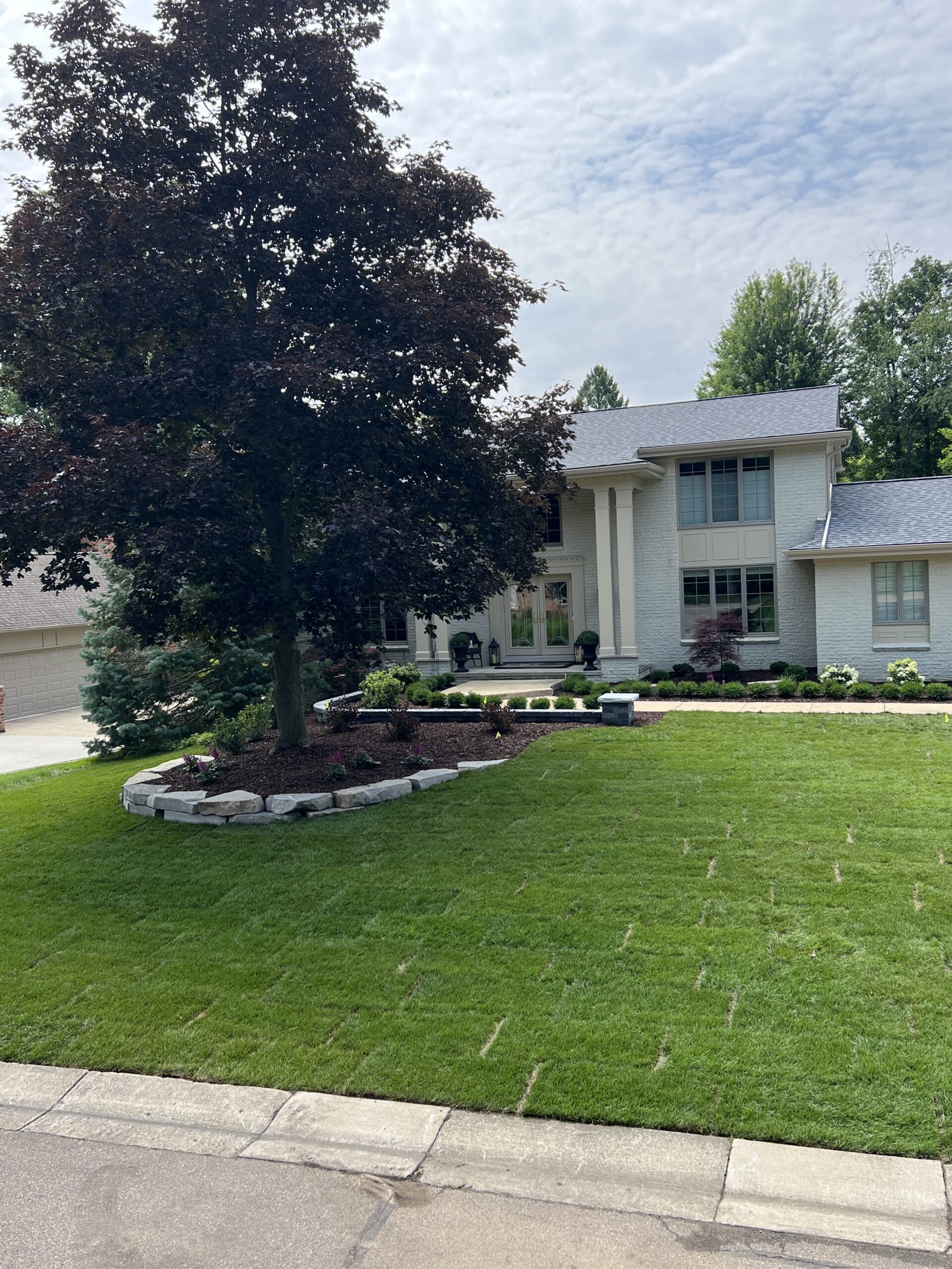 20230712_155535671_iOS