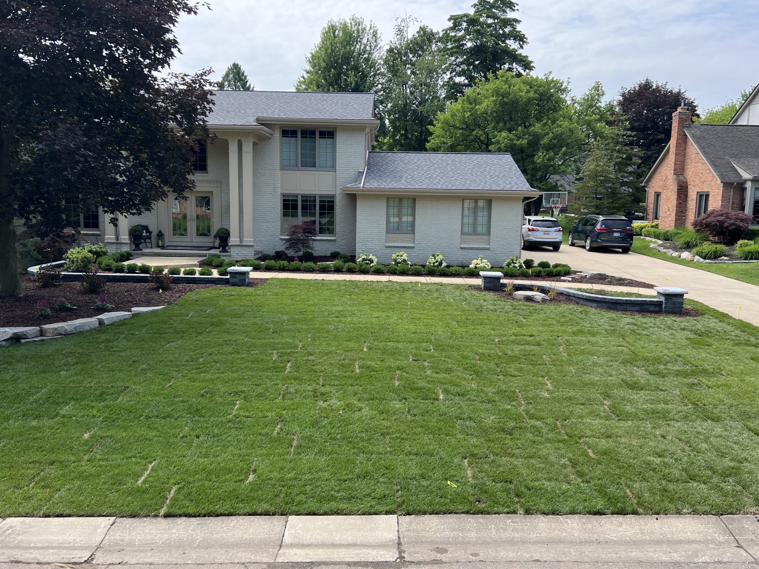 20230712_155539895_iOS