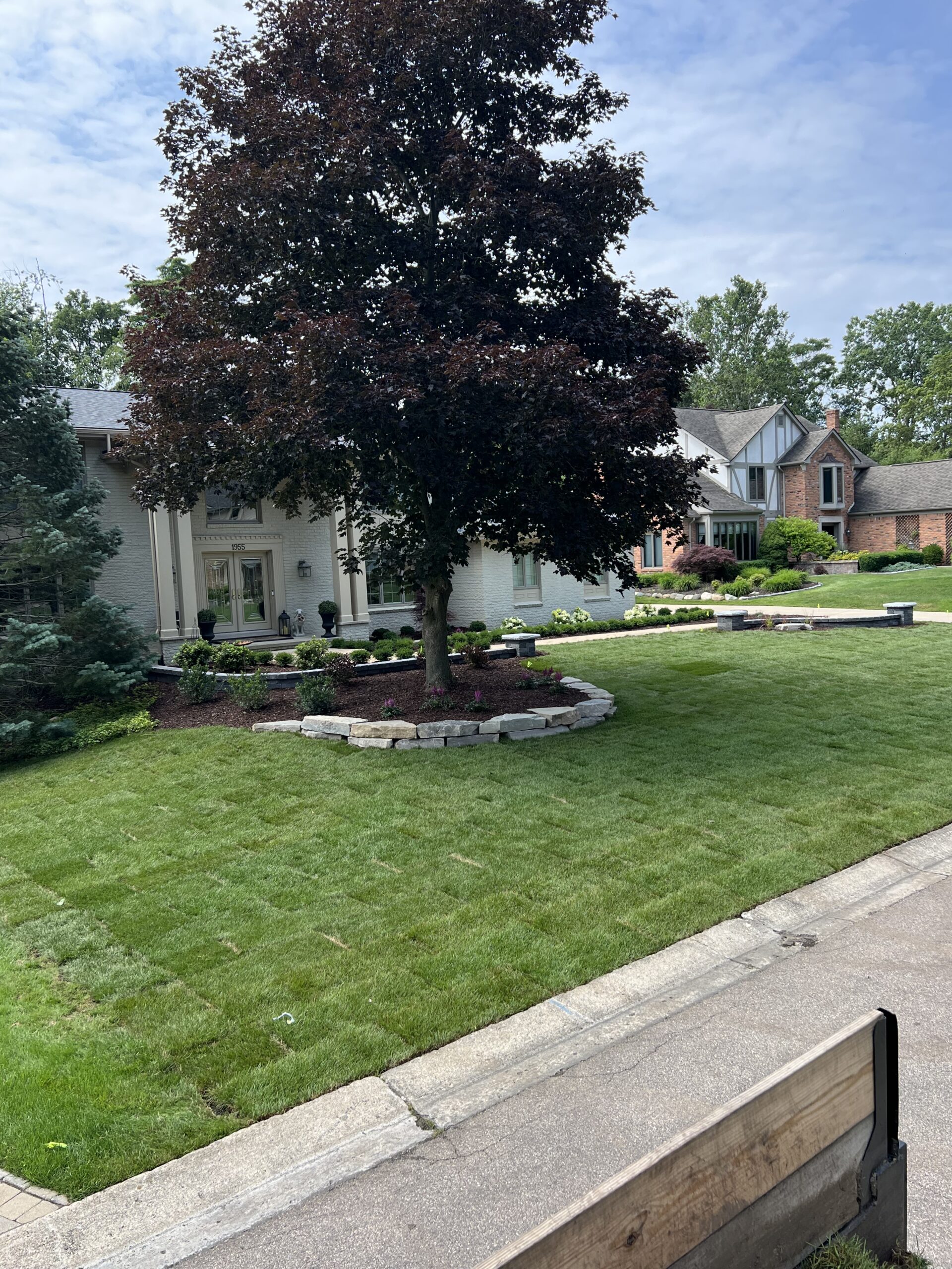 20230712_155622400_iOS