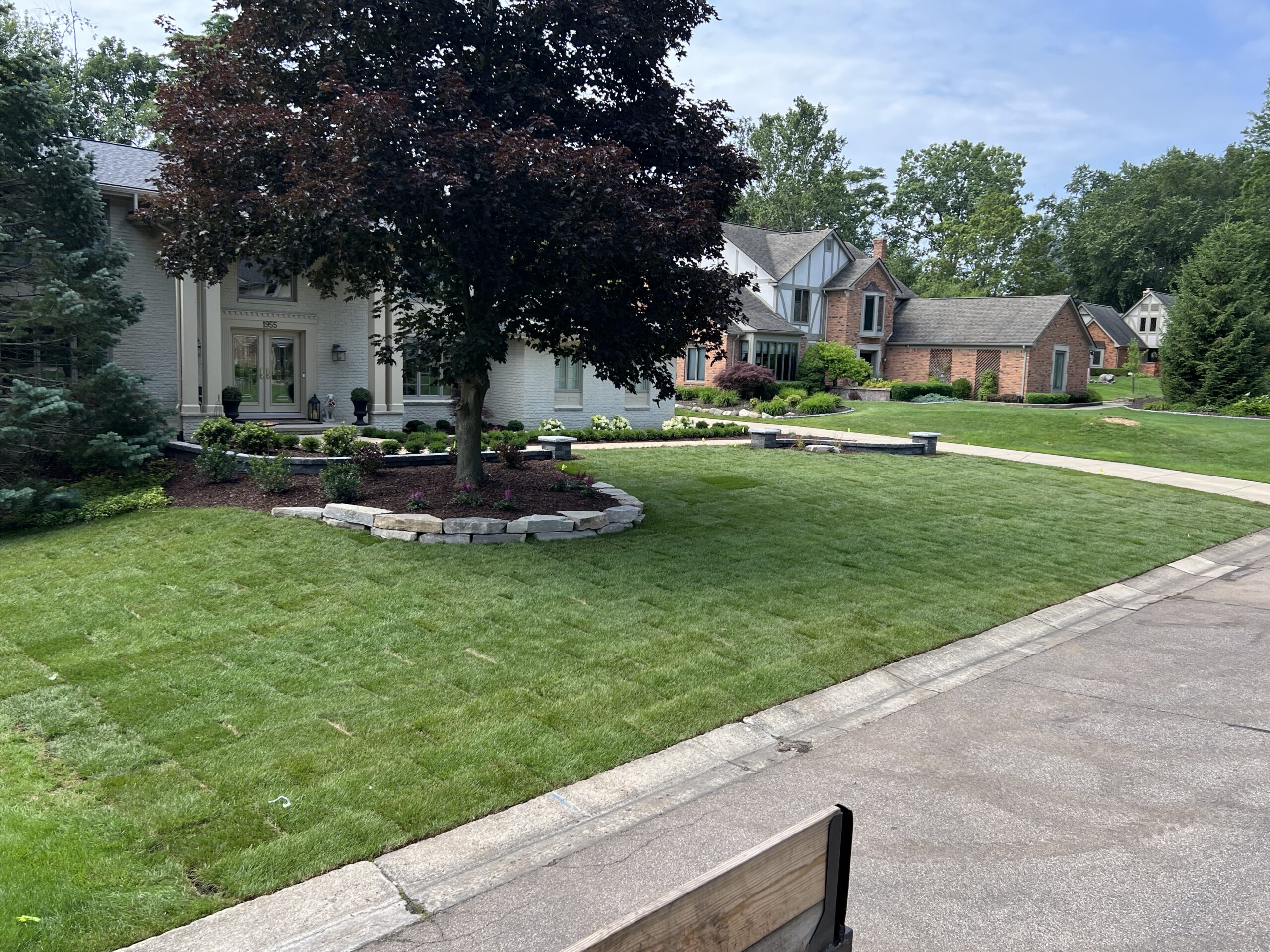 20230712_155625020_iOS