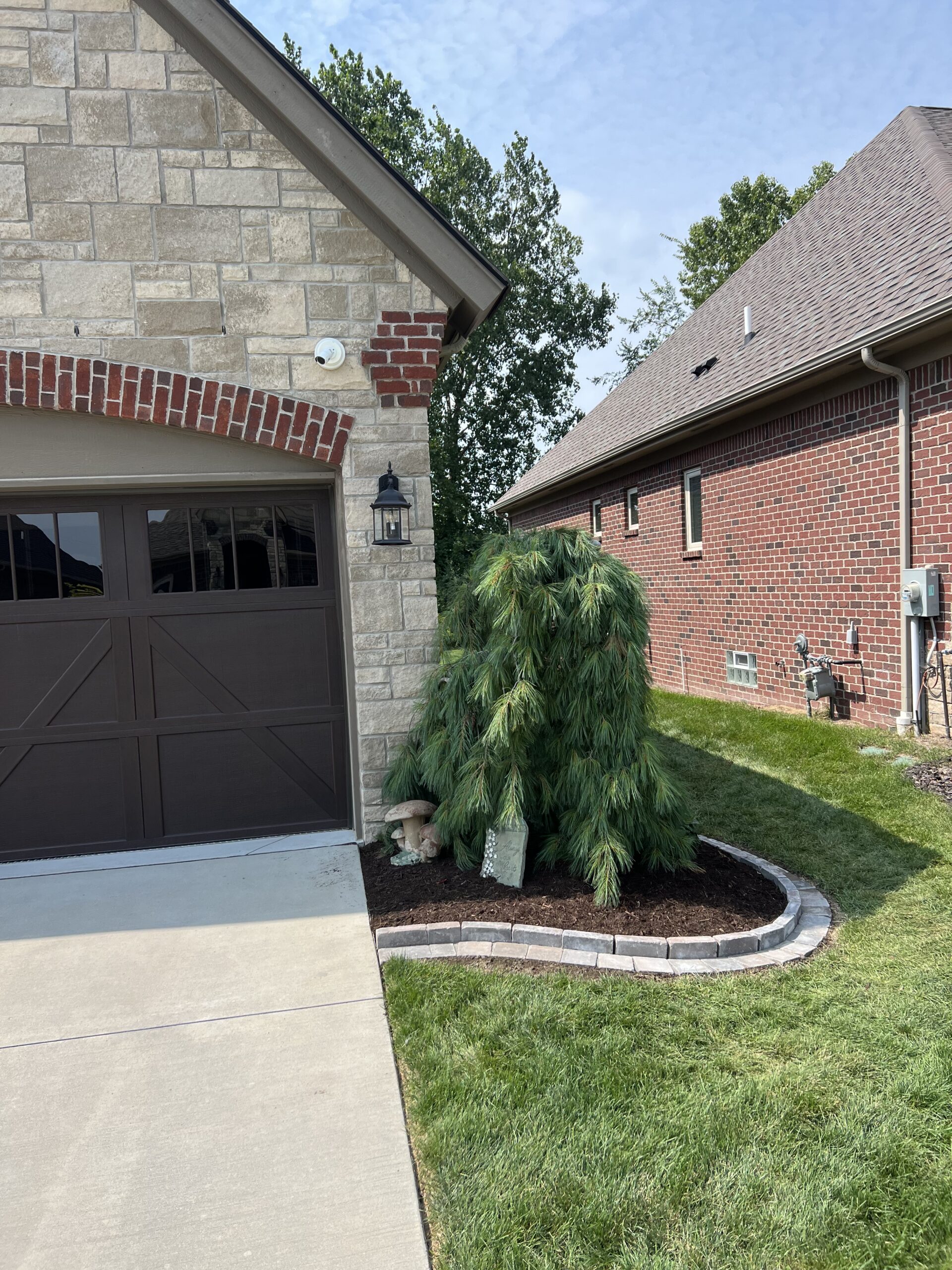 20230821_184934480_iOS