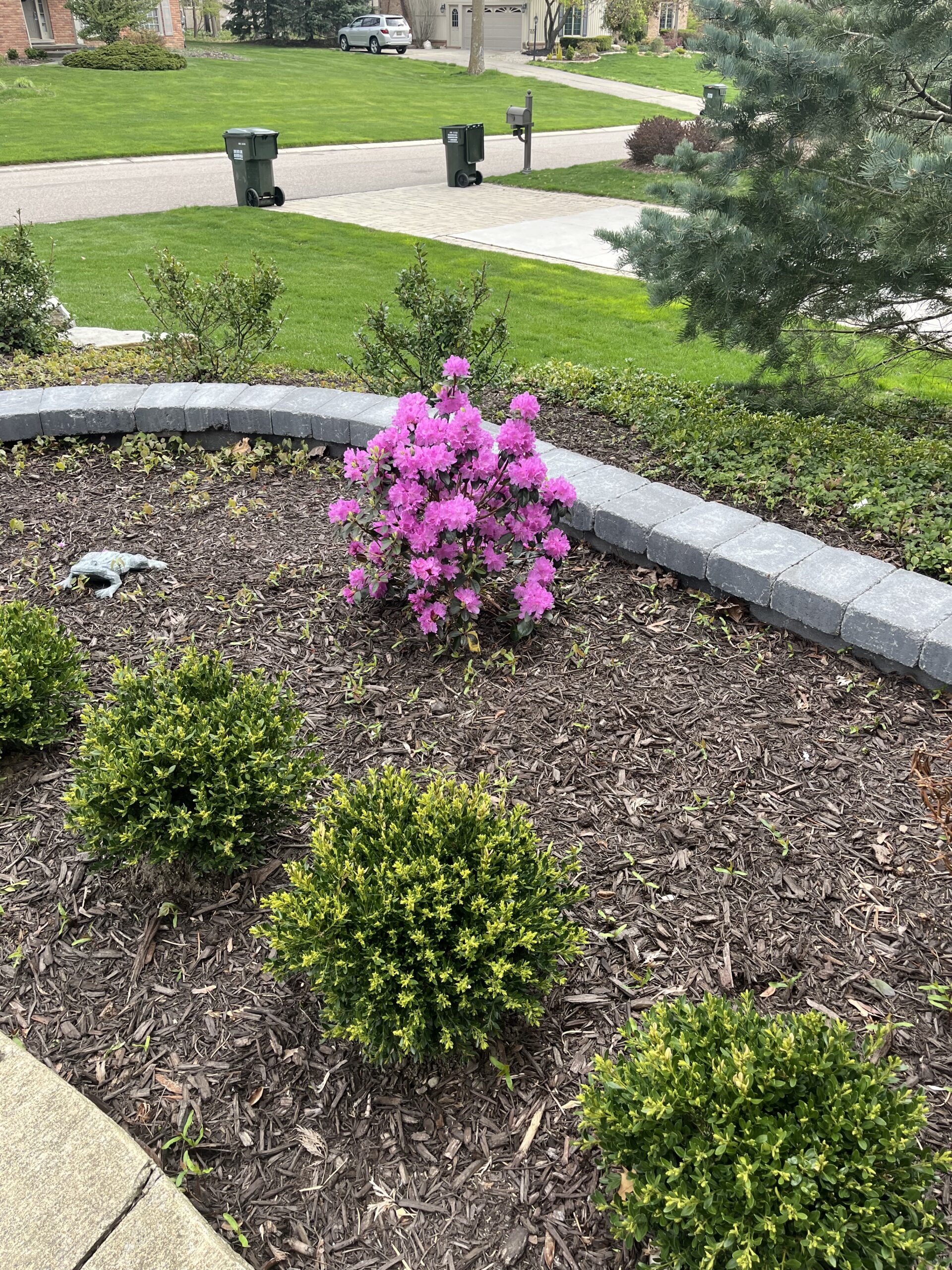 20240423_141825458_iOS