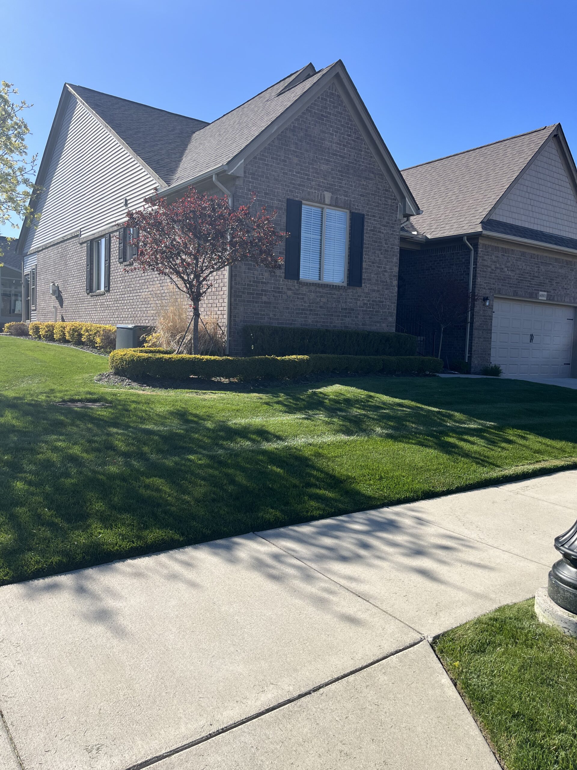 20240424_210526100_iOS